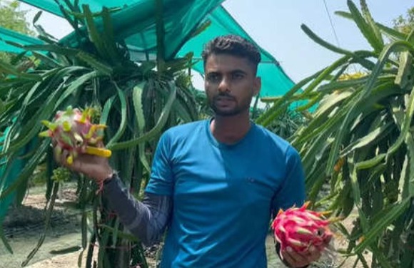 Dragon Fruit Farming: ​$4500 की नौकरी छोड़ हरियाणा में ड्रैगन फ्रूट की खेती से करोड़ों कमा रहे हैं कुलदीप सिंह
