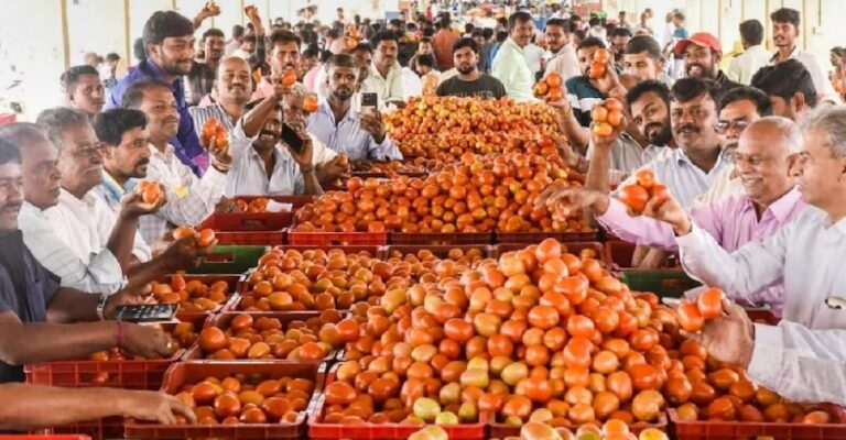 टमाटर क्यों हो रहा महंगा, कौन हो रहा मालामाल