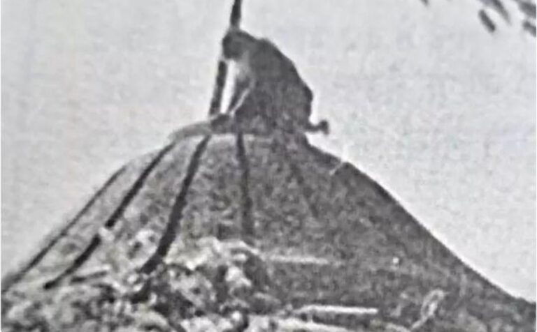 मंदिर आंदोलन के दौरान भगवा झंडे के पास बैठे बंदर की चर्चित तस्वीर हुई वायरल